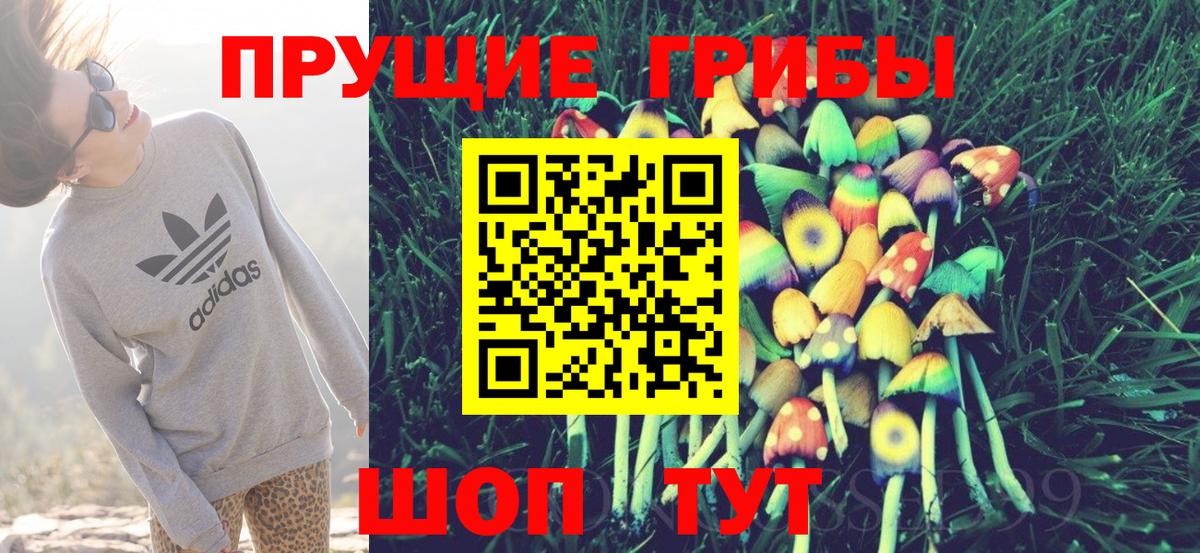 Краснознаменск  Псилоцибиновые грибы ЛСД  Вход с VPN  Псилоцибиновые грибы MAGIC MUSHROOMS 