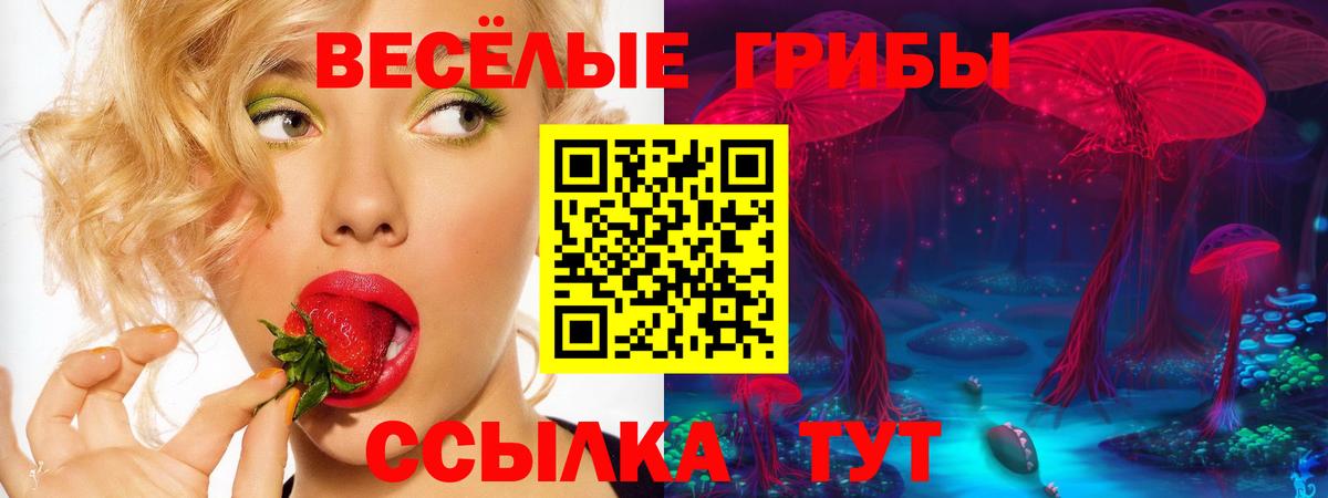 Псилоцибиновые грибы Cubensis Краснознаменск